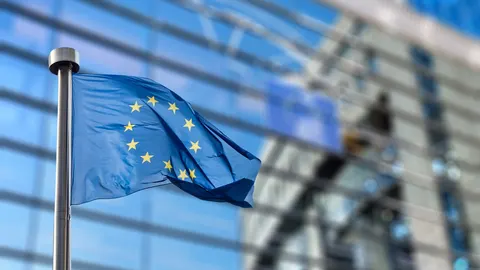 Рада Європи: Україна досягла прогресу в захисті жінок, але покарання за насильст