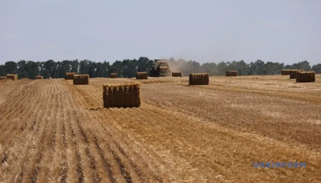 На День Незалежності в Україні буде сухо та тепло, місцями до +30°