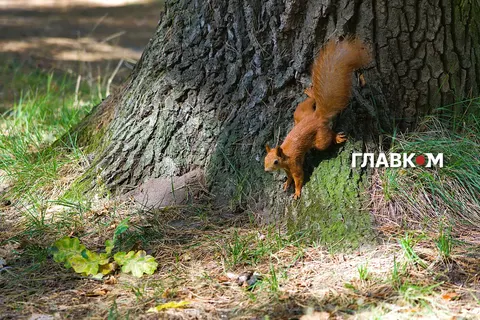 Дощі та різке похолодання: якою буде погода 22 вересня