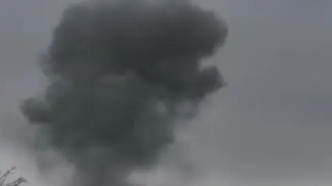 Пожежа на Київщині: дим може дійти до столиці