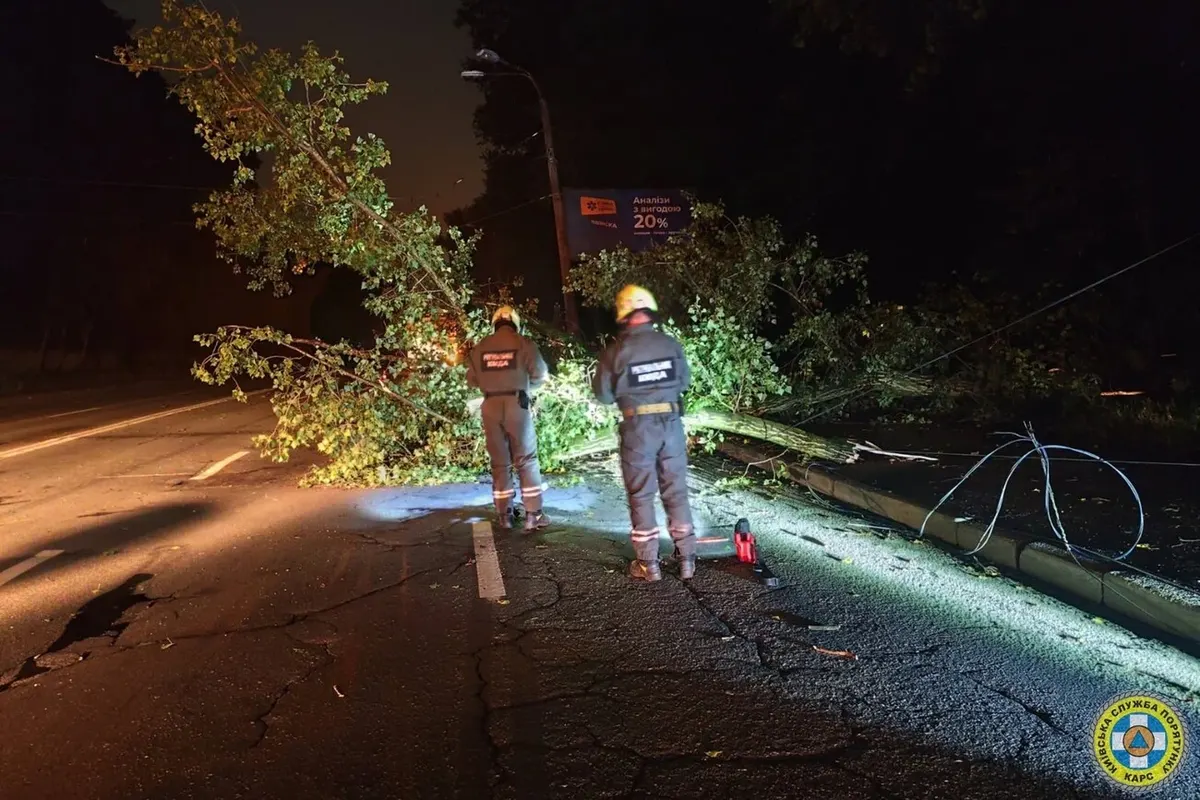 На вулиці Стеценка в Києві дерево перекрило дорогу та пошкодило електромережу