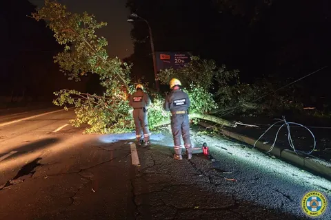 На вулиці Стеценка в Києві дерево перекрило дорогу та пошкодило електромережу