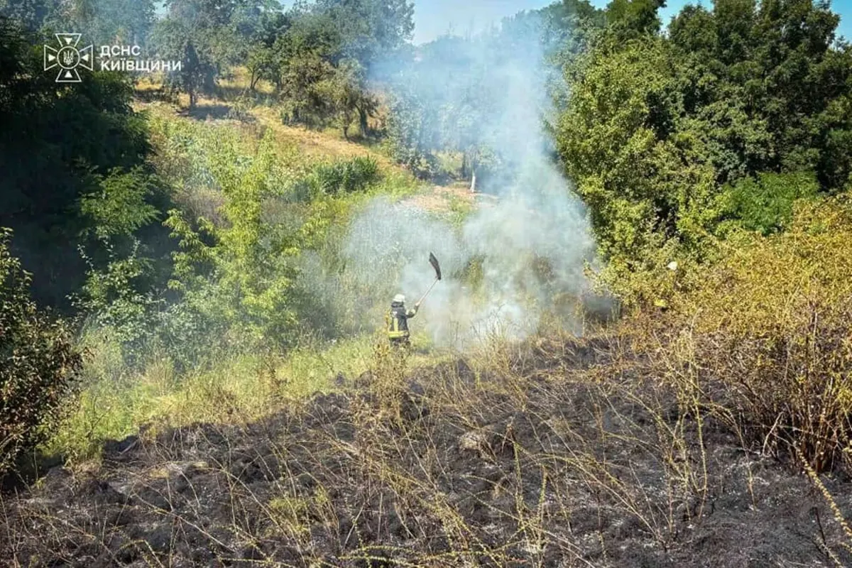 У Києві та області 7 серпня оголошено надзвичайну пожежну небезпеку