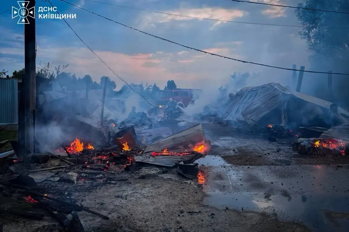 У притулку «Сіріус» на Київщині пожежа: загинули вісім собак