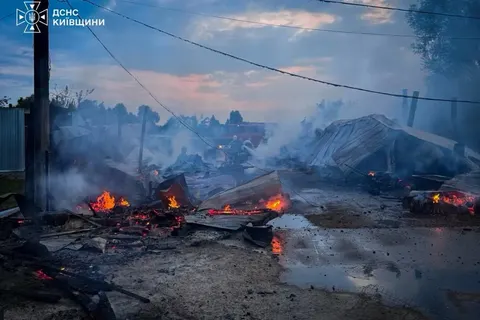 У притулку «Сіріус» на Київщині пожежа: загинули вісім собак