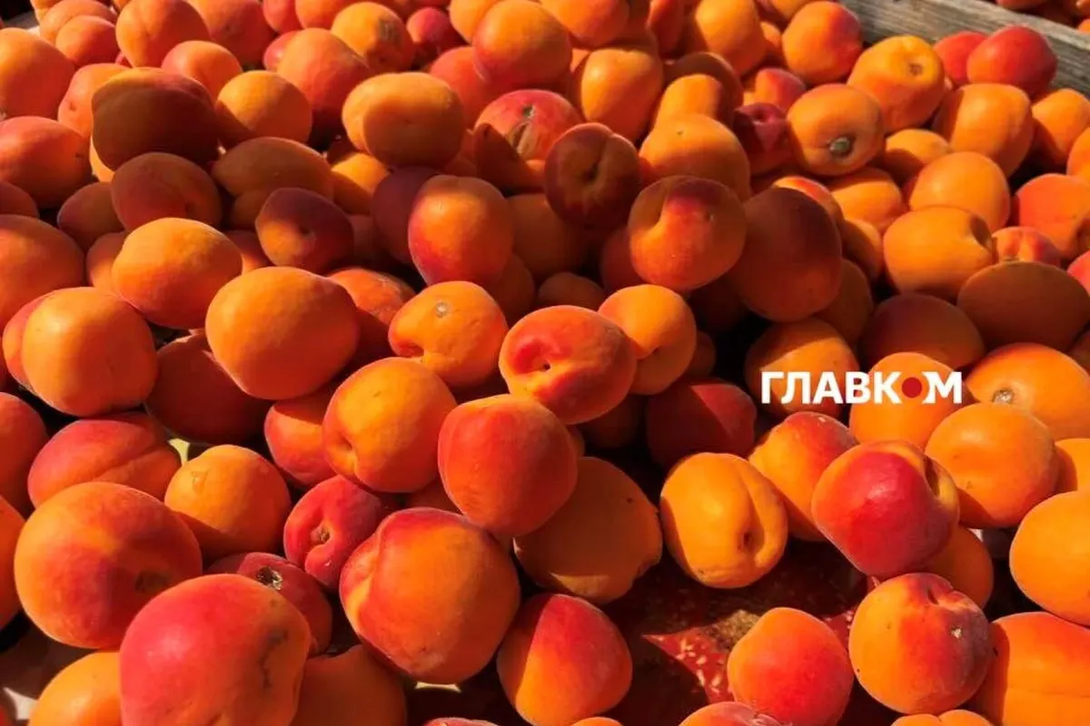 Продуктові ярмарки у Києві з 18 по 23 серпня: повний перелік адрес