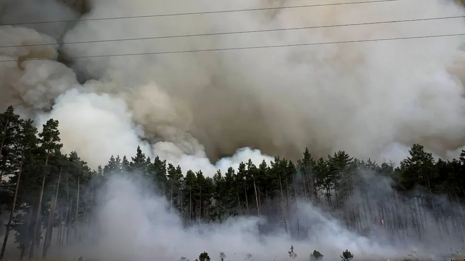 Поблизу Києва гасять масштабну лісову пожежу: фронт вогню — кілька кілометрів