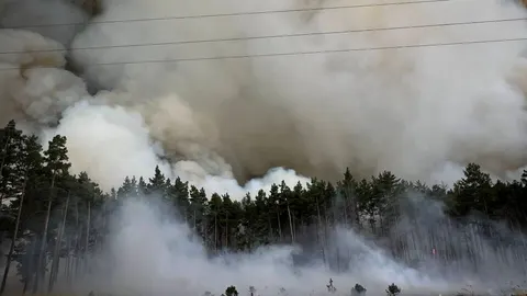 Поблизу Києва гасять масштабну лісову пожежу: фронт вогню — кілька кілометрів