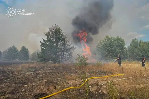 У Києві та області оголошено надзвичайну пожежну небезпеку на три дні