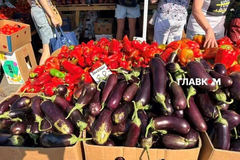 У Києві з 25 по 30 серпня працюватимуть сезонні ярмарки: адреси