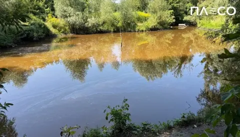 У Києві після атаки РФ річку Борщагівку забруднили хімікати