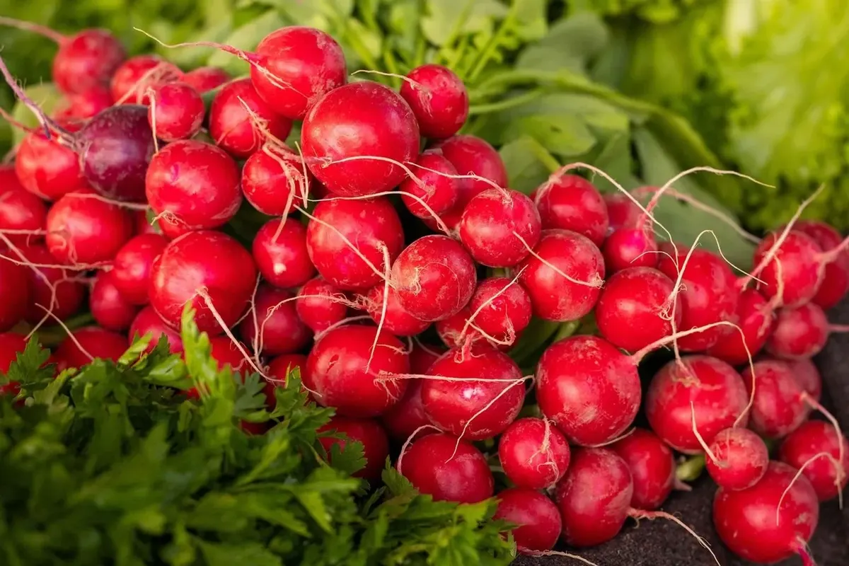 У Києві з 25 по 30 серпня працюватимуть продуктові ярмарки: адреси