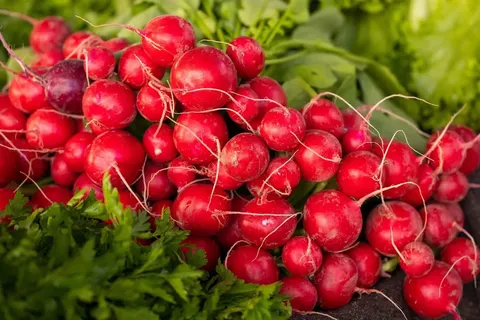 У Києві з 25 по 30 серпня працюватимуть продуктові ярмарки: адреси